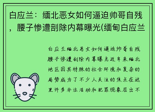 白应兰：缅北恶女如何逼迫帅哥自残，腰子惨遭剖除内幕曝光(缅甸白应兰)